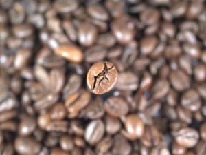 granos de cafe guatemala